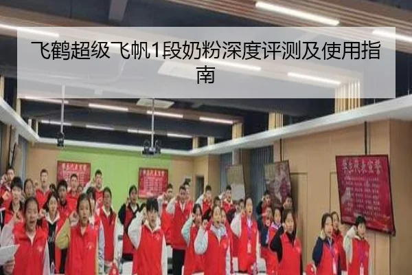 飞鹤超级飞帆1段奶粉深度评测及使用指南